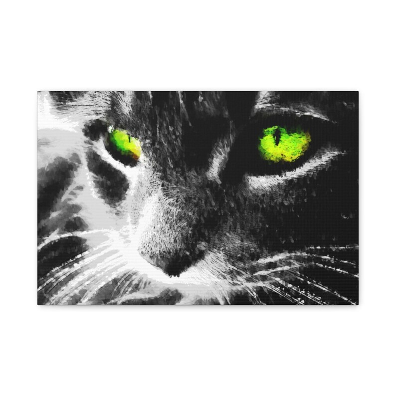 Hypnotic Cat Eyes Canvas Print, Modern Home Decor image 2