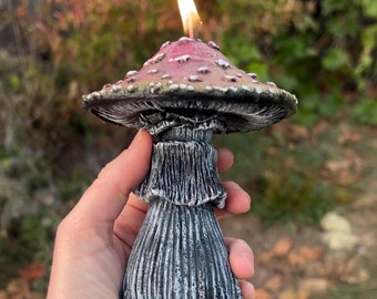 Amanita Mushroom Beeswax Candle Oregon beeswax handmade natural candle hemp wick natural honey scent