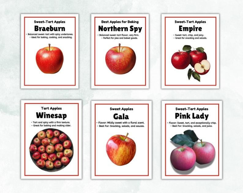 Apple Varieties Posters| 23 Apple Varieties Posters | Educational Apple ...