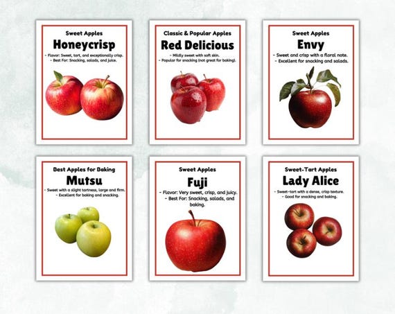 Apple Varieties Posters| 23 Apple Varieties Posters | Educational