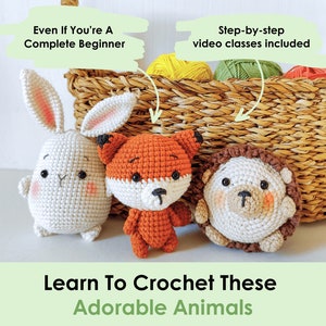 The Great Crochet Animal Rescue Book & 3 "Learn To Crochet" Patterns Perfect For Complete Beginners