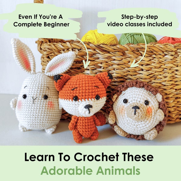 The Great Crochet Animal Rescue Book & 3 "Learn To Crochet" Patterns Perfect For Complete Beginners