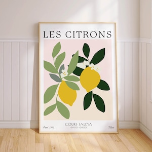Les Citrons French Art Print, Lemon Poster, Kitchen Wall Decor, Gift for Home PRINTED on Luxury Paper