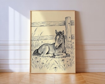 Sleeping Foal by Ranch Fence Print, Black Ink Horse Drawing