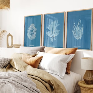 Blue Seaweed Art Prints (Set of 3): Coastal Botanical Illustrations