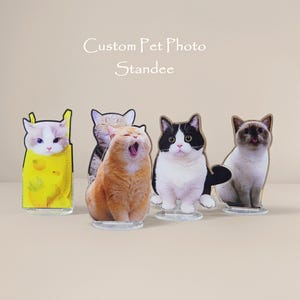 May include: A collection of custom pet photo standees featuring various cat breeds. Each standee is a unique cutout of a cat, with clear bases for display. The text "Custom Pet Photo Standee" is written in a cursive font.