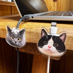 Pode incluir: Dois organizadores de cabos de acrílico transparente em forma de rostos de gato. Um gato é cinza com olhos amarelos e um curativo. O outro é preto e branco com nariz rosa e olhos verdes. Um laptop e uma mesa de madeira estão no fundo.