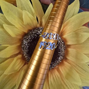 Könnte beinhalten: Ein silberner Ring mit den Buchstaben "ZΦB" und der Zahl "1920" eingraviert. Der Ring befindet sich auf einem goldenen Ringmaß, und der Hintergrund ist eine gelbe Sonnenblume.