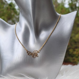 Delta Sigma Theta necklace- Sorority necklace - Delta Jewelry - Delta Sigma Theta gift - HBCU - Divine Nine Sororities