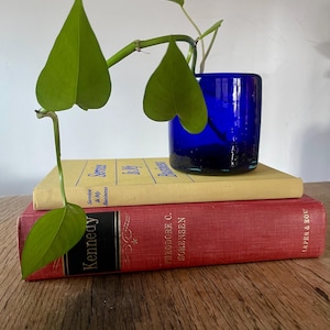 Vintage cobalt blue glass votive candle holder or vase