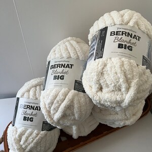 12 Pack: Bernat® Blanket Big™ Yarn 