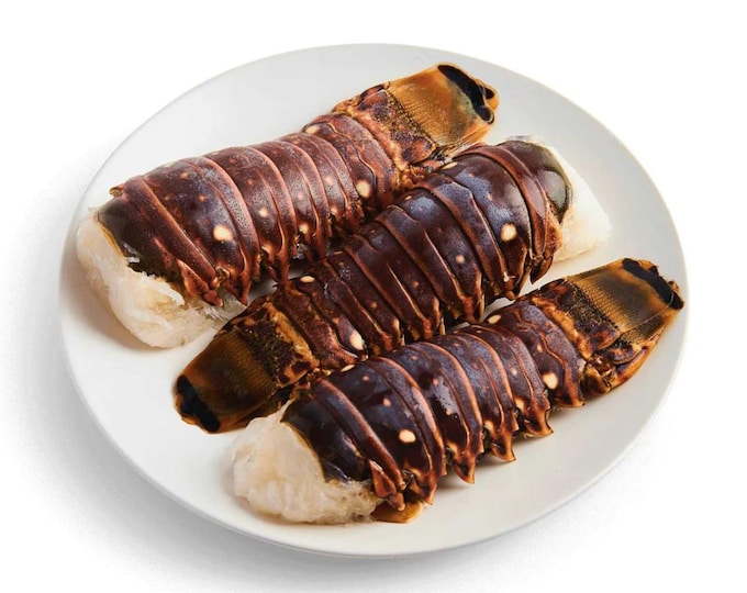 Tender Lobster Tails + Seafood Sauce Kit