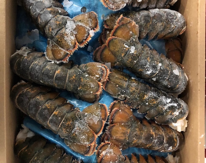 10LB Lobster Tails