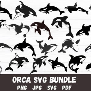 Orca Cut Files - SVG, PNG, JPG - Commercial Use, Digital Cut File, Orca Clipart, Digital Download, Instant Download, Killer Whale, Orca Svg