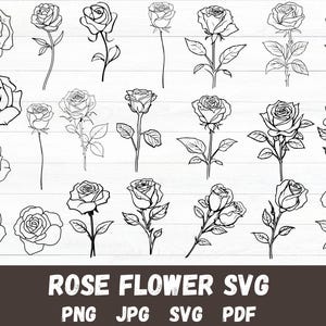 Rose Flower Bundle SVGs,Rose outline svg, Rose svgs,silhouette cut file for Cricut,Roses Vectors,flower sticker svg, Png