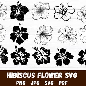 Hibiscus Flower svg,Hawaiian Flower svg,Hibiscus svg Bundle,Tropical Clip Art,Monstera Leaf svg,Jungle leaves svg,Cute Flowers Svg,Download