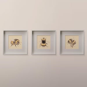 Set of 5x5 Bumble Bee Wall Art Prints for Woodland Nursery, Bee Art for Kids Room Decor, baby room art print Country Style Design
