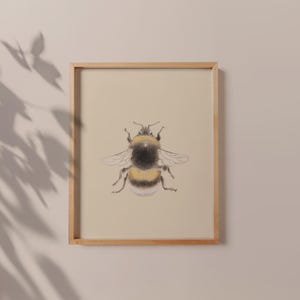Bee Art Print for office or entry way, Bumble bee Art for nursery, Bug pencil art for kids room, Gift for Insect lover