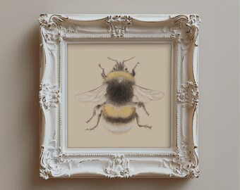 Bee Art Print Signed by Artist, pencil illustration, Farmhouse cottage core and country home decor, babies room or nursery wall art