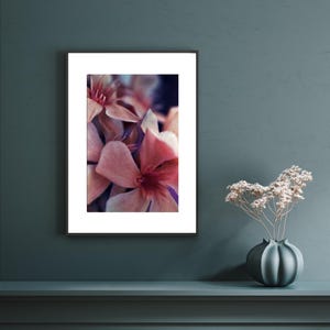 Signierte Fine Art Fotografie &quot;&quot;Flower Power II&quot;&quot; ~ Botanische Psychedelische Fotografie ~ Analoge Fotografie.&quot;