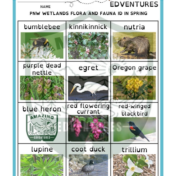 Earth Day Pacific NW Wetland Identification Guide: A Printable Guide to Flora and Fauna found in Spring in Pacific Northwest Wetlands