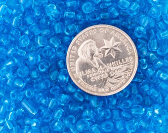 Puede incluir: Primer plano de una moneda de 25 centavos de dólar estadounidense con Wilma Mankiller, la Jefa Principal de la Nación Cherokee, rodeada de una gran cantidad de pequeñas cuentas de plástico azul brillante.