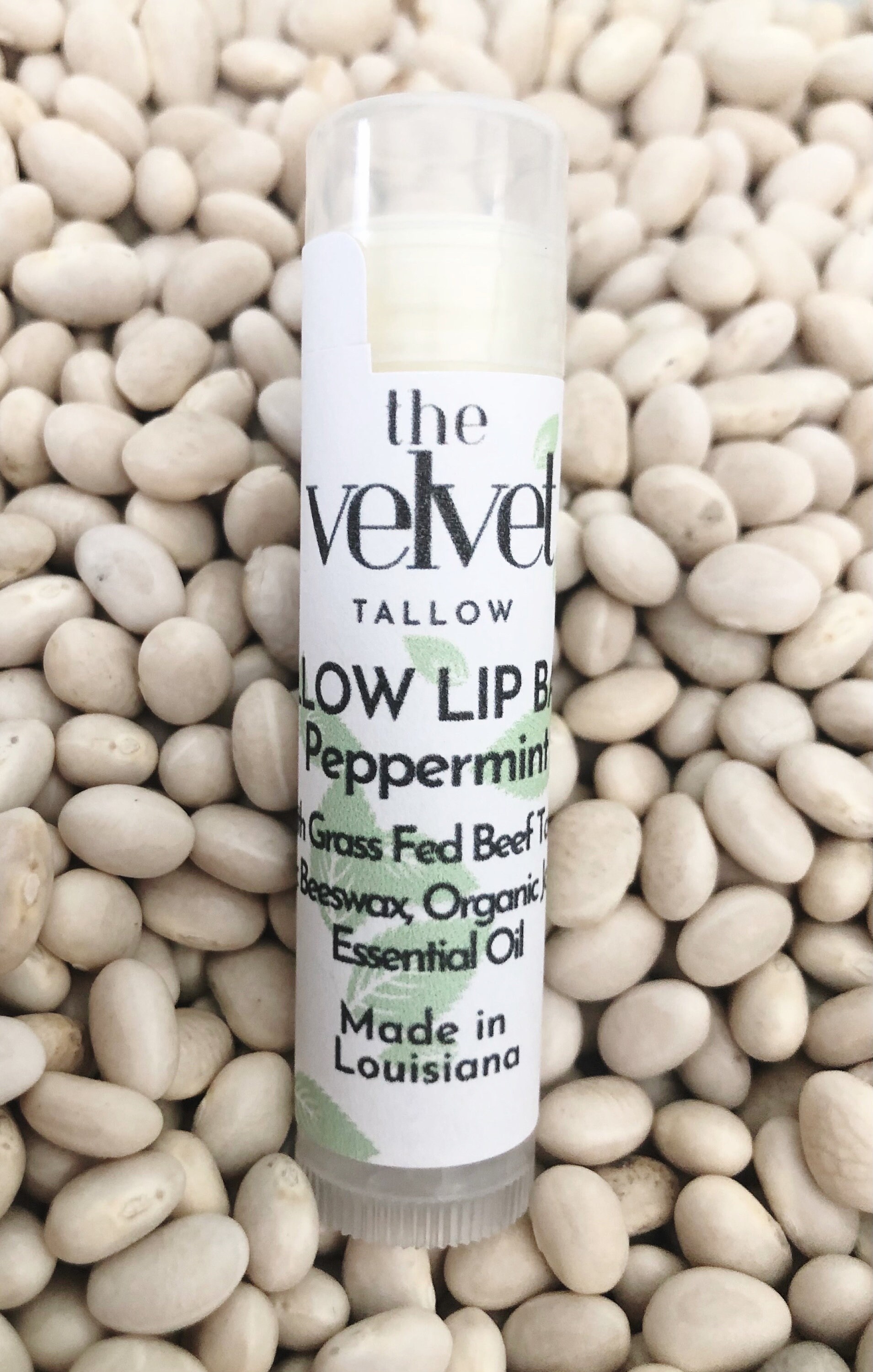 CARNIVORE Tallow Lip Balm Sweet Orange EO Made From Grass Fed Beef carnivore-tallow-lip-balm-sweet-orange-eo-made-from-grass-fed-beef