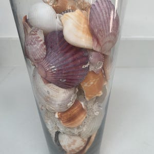 Large Vase with Shells
