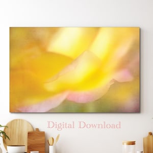 Yellow Rose Photo Download: Cottagecore Floral Wall Art