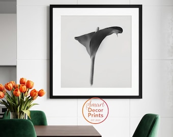 Lámina artística de lirio cala monocromático, elegante decoración floral para pared, descarga digital.