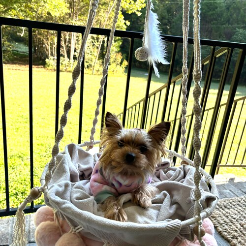 Boho Cat Hammock Macrame Cat Bed Floating Cat Basket Hanging Cat Bed Macramé Cat Swing Cat Tree Condo Cat Lover Gift - Valentine Sale