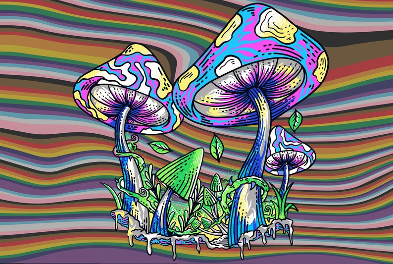 Pu&ograve; includere: Illustrazione psichedelica di funghi colorati con motivi a spirale su uno sfondo a strisce arcobaleno.