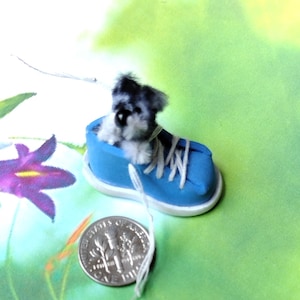 Schnauzer shoes clearance