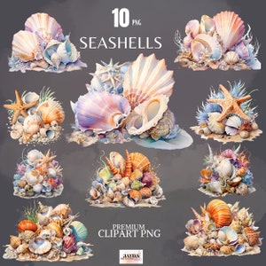 Aquarelle pastel coquillage clipart PNG, lot de clipart nautique, plage océan clipart, clipart mer, album, fabrication de cartes, décoration murale