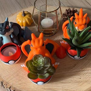 Op de afbeelding: Drie keramische potten in de vorm van Pokémon-personages. De potten zijn rood, oranje en zwart geverfd. Elke pot heeft een kleine plant die erin groeit.