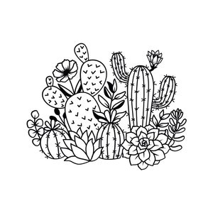 Puede incluir: Dibujo en blanco y negro de un grupo de cactus y suculentas. Los cactus son altos y delgados con espinas, mientras que las suculentas son redondas y carnosas. También hay algunas flores pequeñas en el dibujo.