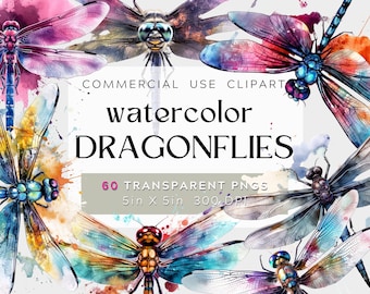 60 Watercolor Dragonflies Clipart, insect illustrations, PNG graphics, scrapbook, craft, cards, commercial use, bundle. pack