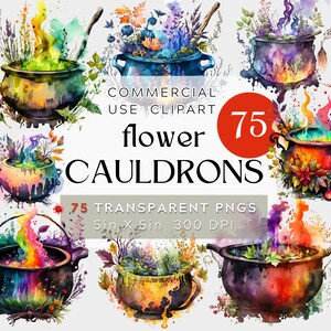 May include: 75 watercolor illustrations of cauldrons filled with colorful potions and surrounded by flowers and greenery.  The text "COMMERCIAL USE CLIPART flower CAULDRONS 75 TRANSPARENT PNGS 5in x 5in 300 DPI" is displayed on the image.