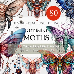 80 PNG Ornate Moth Grafikdesign-Bundle, Aquarellillustration, kommerzielle Nutzung, Motte Schöne Witchy PNG mit transparentem Hintergrund