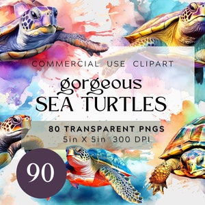 90 PNG Aquarell atemberaubende Meeresschildkröten Clipart Bundle, realistisch und bunt, hübsche Schildkröten, kommerzielle Nutzung, digitales Clipart Bundle