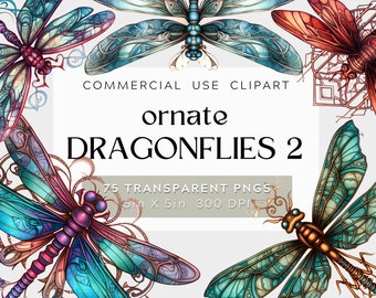 75 Ornate Dragonfly Graphic Design Bundle 2, watercolor illustration, commercial use, Dragonfly PNG with Transparent Background