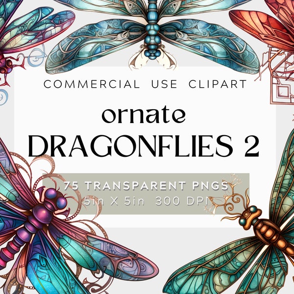 75 Ornate Dragonfly Graphic Design Bundle 2, watercolor illustration, commercial use, Dragonfly PNG with Transparent Background