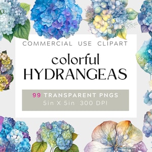 99 Floral Hydrangea Clipart Pack, watercolor, Clip art for commercial use, Transparent PNGs, Colorful Wedding Botanical Florals, cards, baby