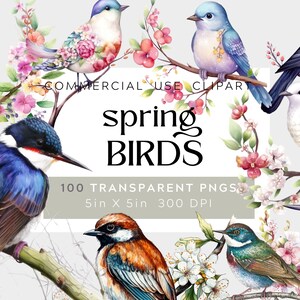 Pacote de clipart de pássaros em aquarela de 100, clipart de pássaros de primavera, pacote de pássaros, clipart de pássaros coloridos, clipart de pássaros em galhos, clipart comercial