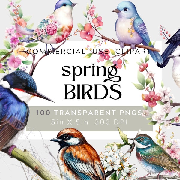 100 Watercolor Birds Clipart Bundle, Spring Birds Clipart, Birds Bundle, Colorful Birds Clipart, Birds On Branch Clipart, commercial clipart