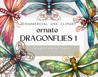 75 Ornate Dragonfly Graphic Design Bundle 1, watercolor illustration, commercial use,  Dragonfly PNG with Transparent Background