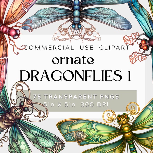 75 Ornate Dragonfly Graphic Design Bundle 1, watercolor illustration, commercial use,  Dragonfly PNG with Transparent Background