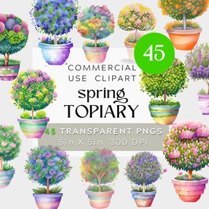 Spring Topiary Pots,  Watercolor Clipart,  BUNDLE PNG, Transparent background, commercial use, 300DPI Bright & Colorful, plants + pots