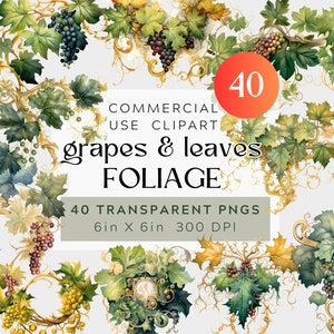 Clipart de videiras verdes e douradas, linda folhagem vintage, BUNDLE vitoriano floresce 300DPI uso comercial de fundo transparente, ornamentado