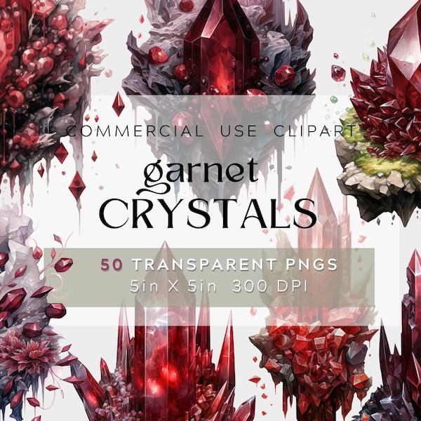 50 Floral Garnet Crystals Clipart, January Birthstone Clipart, Gemstone transparent png- Digital watercolor pack- commercial use, bundle